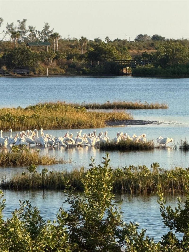 1007 NW 82nd Street, Bradenton, FL 34209 Photo