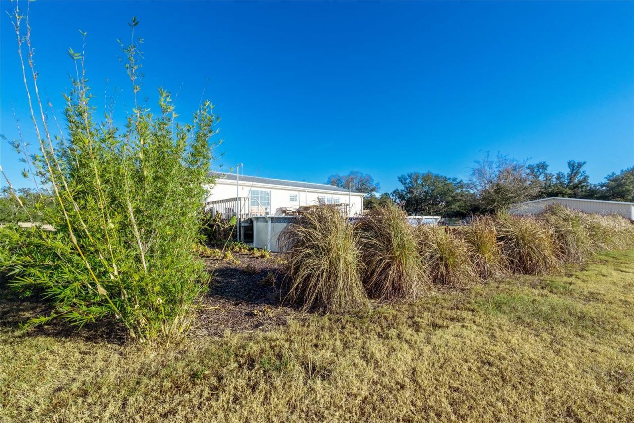 18708 County Road 250, Live Oak, FL 32060 Photo