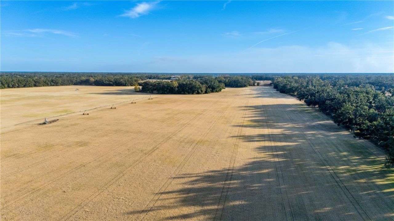 18708 County Road 250, Live Oak, FL 32060 Photo