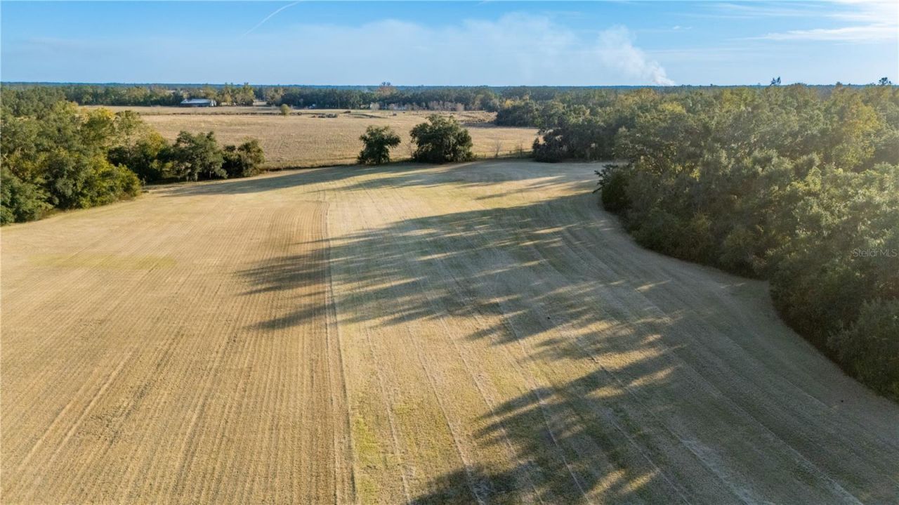 18708 County Road 250, Live Oak, FL 32060 Photo