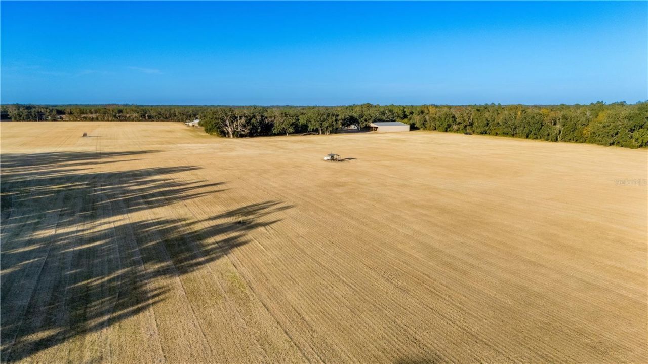 18708 County Road 250, Live Oak, FL 32060 Photo
