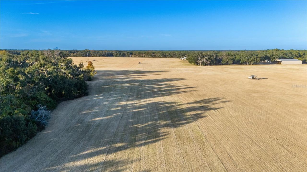 18708 County Road 250, Live Oak, FL 32060 Photo