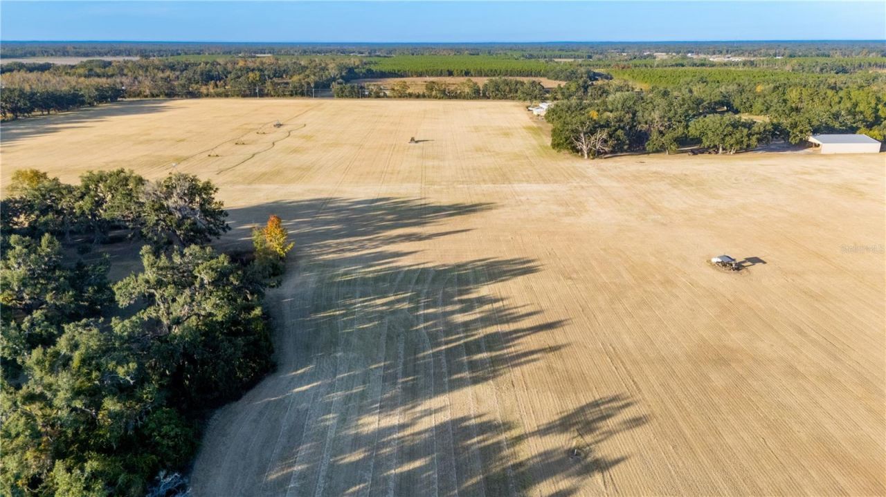 18708 County Road 250, Live Oak, FL 32060 Photo