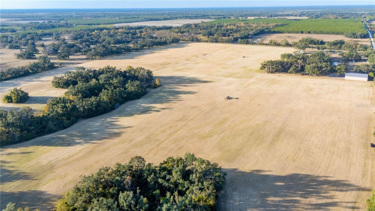18708 County Road 250, Live Oak, FL 32060 Photo