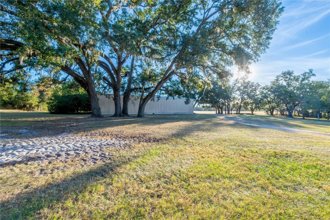 18708 County Road 250, Live Oak, FL 32060 Photo