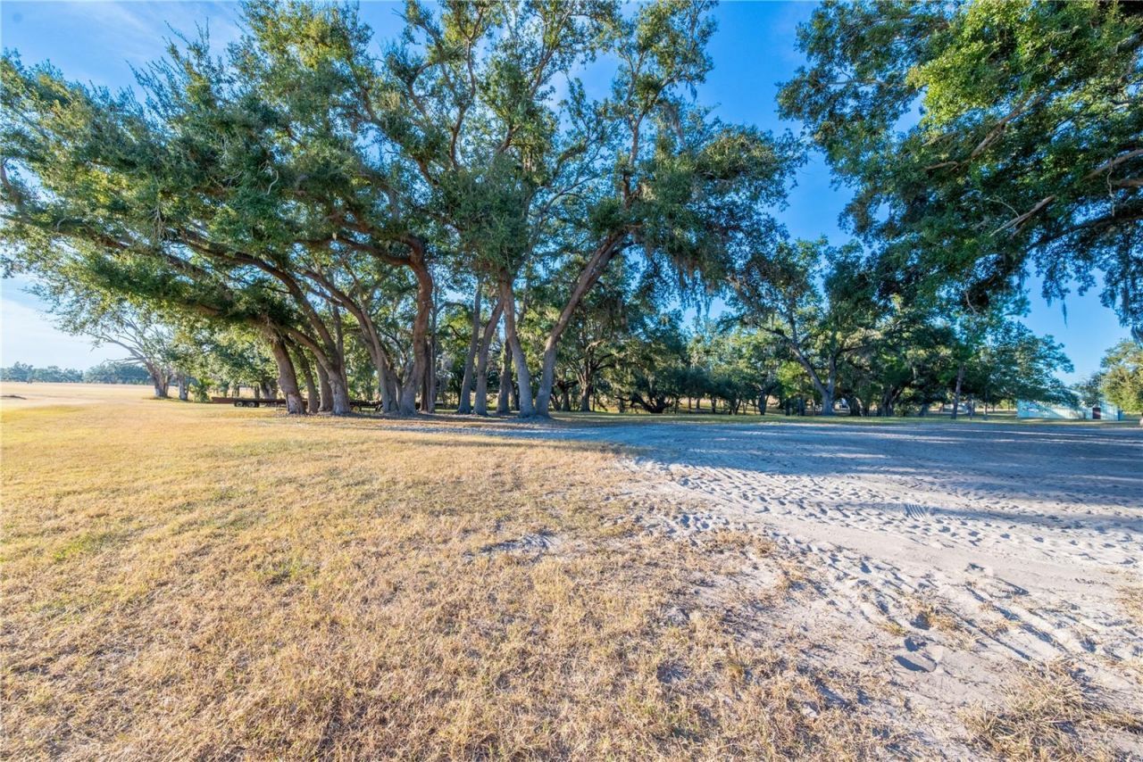 18708 County Road 250, Live Oak, FL 32060 Photo