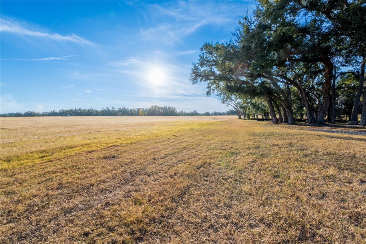 18708 County Road 250, Live Oak, FL 32060 Photo