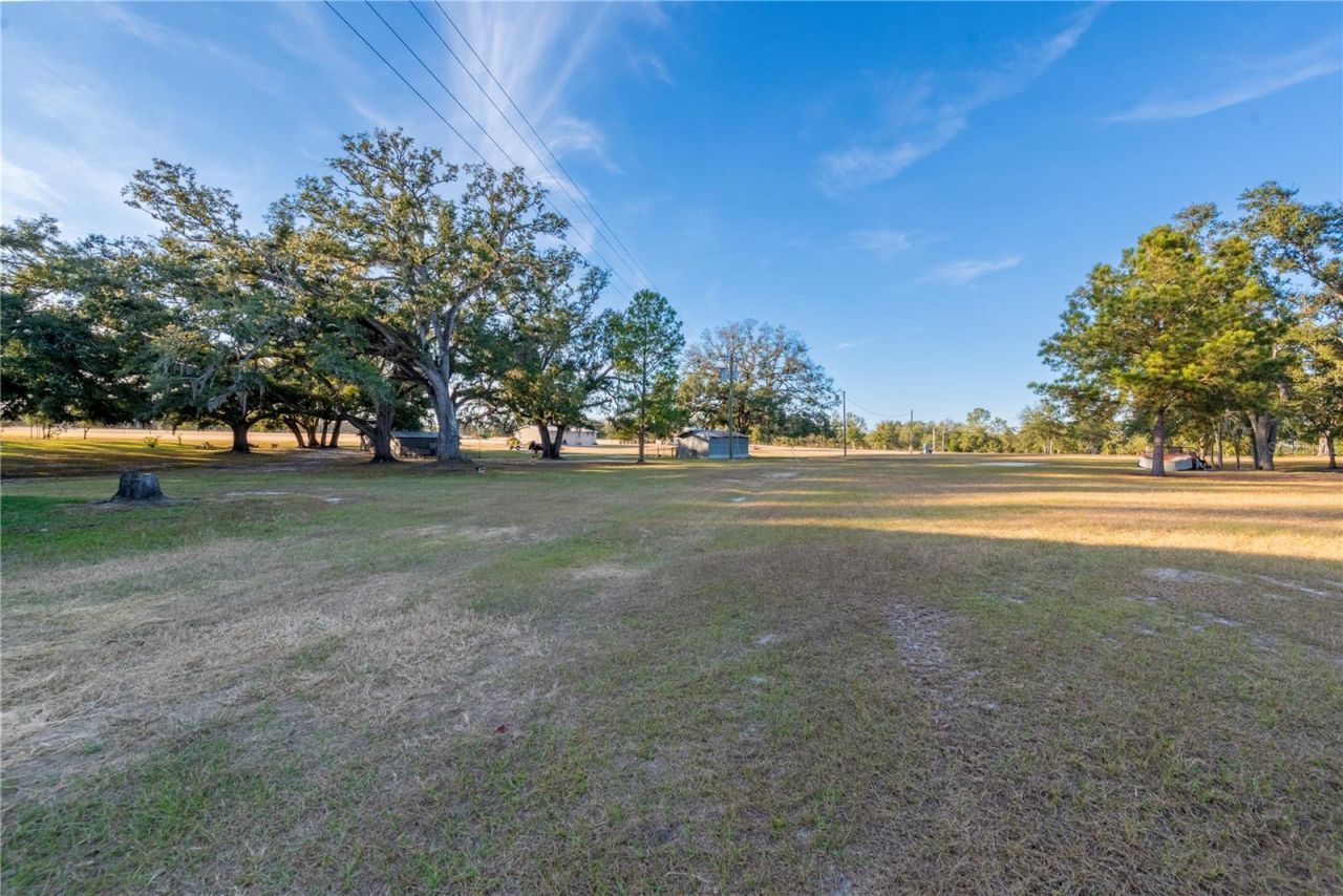 18708 County Road 250, Live Oak, FL 32060 Photo