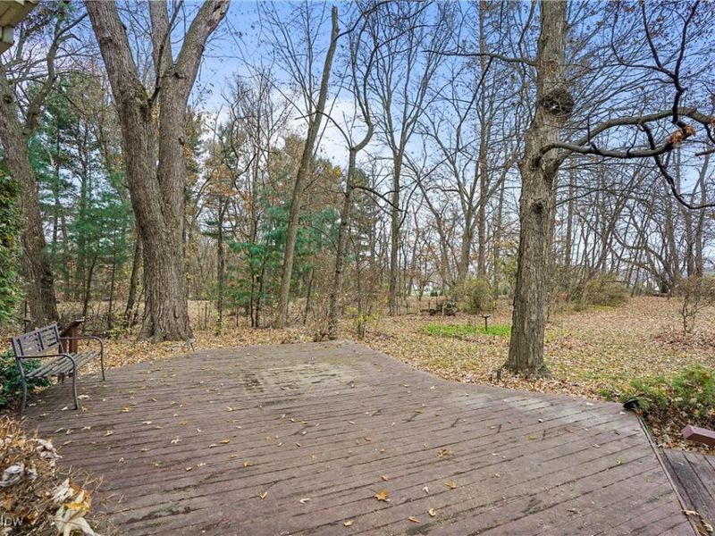 13627 Market Street, North Lima, OH 44452 Photo 23