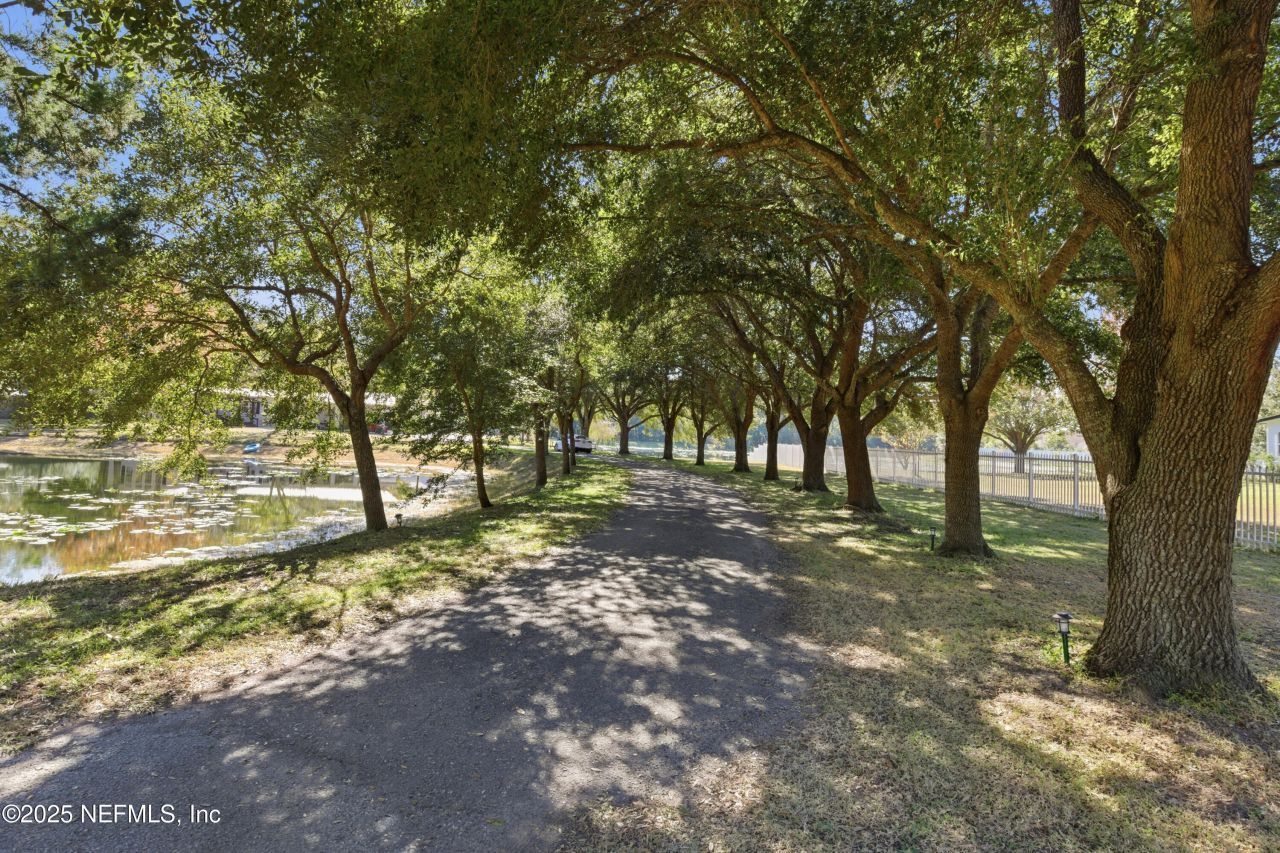 4798 Reed Avenue, Jacksonville, FL 32257 Photo