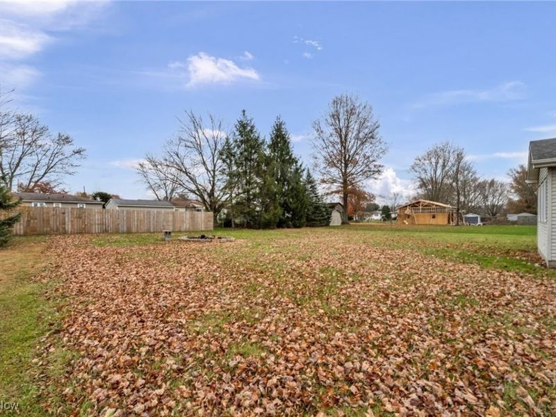 9825 Struthers Road, New Middletown, OH 44442 Photo 35