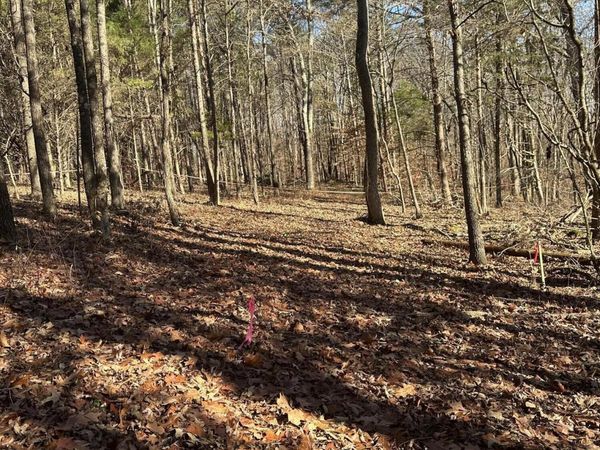 2 Lower River Road NW, Charleston, TN 37310