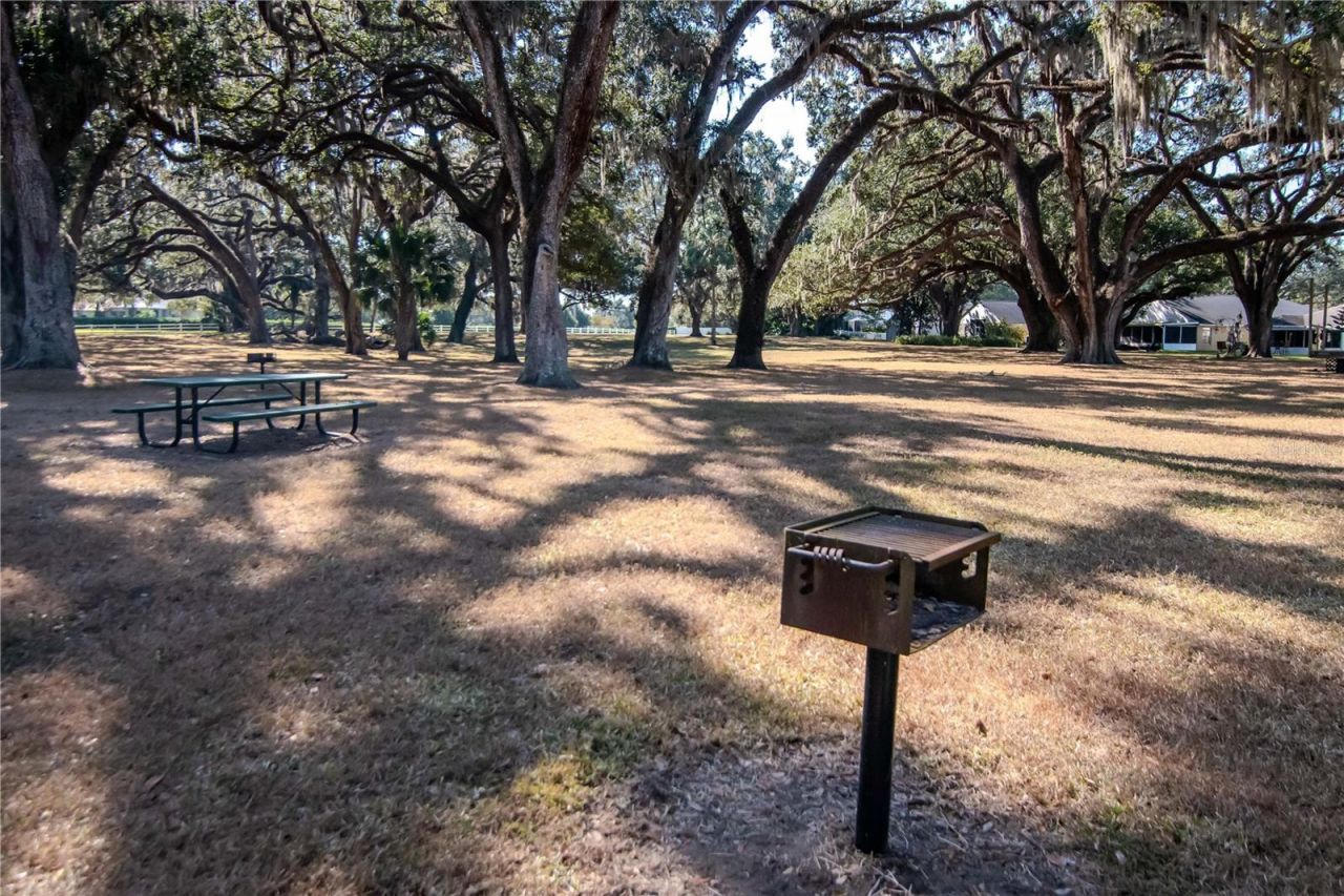 5132 Whispering Leaf Trail, Valrico, FL 33596 Photo