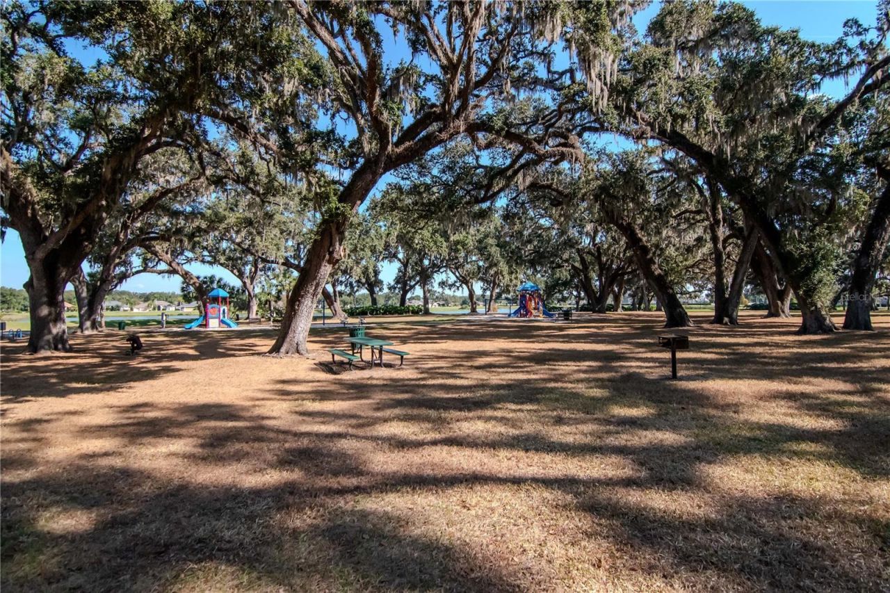 5132 Whispering Leaf Trail, Valrico, FL 33596 Photo