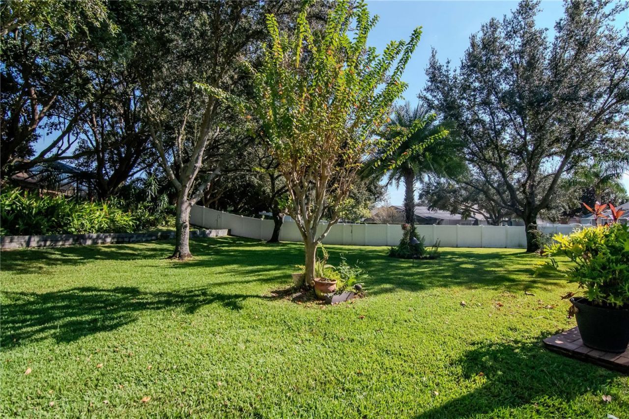 5132 Whispering Leaf Trail, Valrico, FL 33596 Photo
