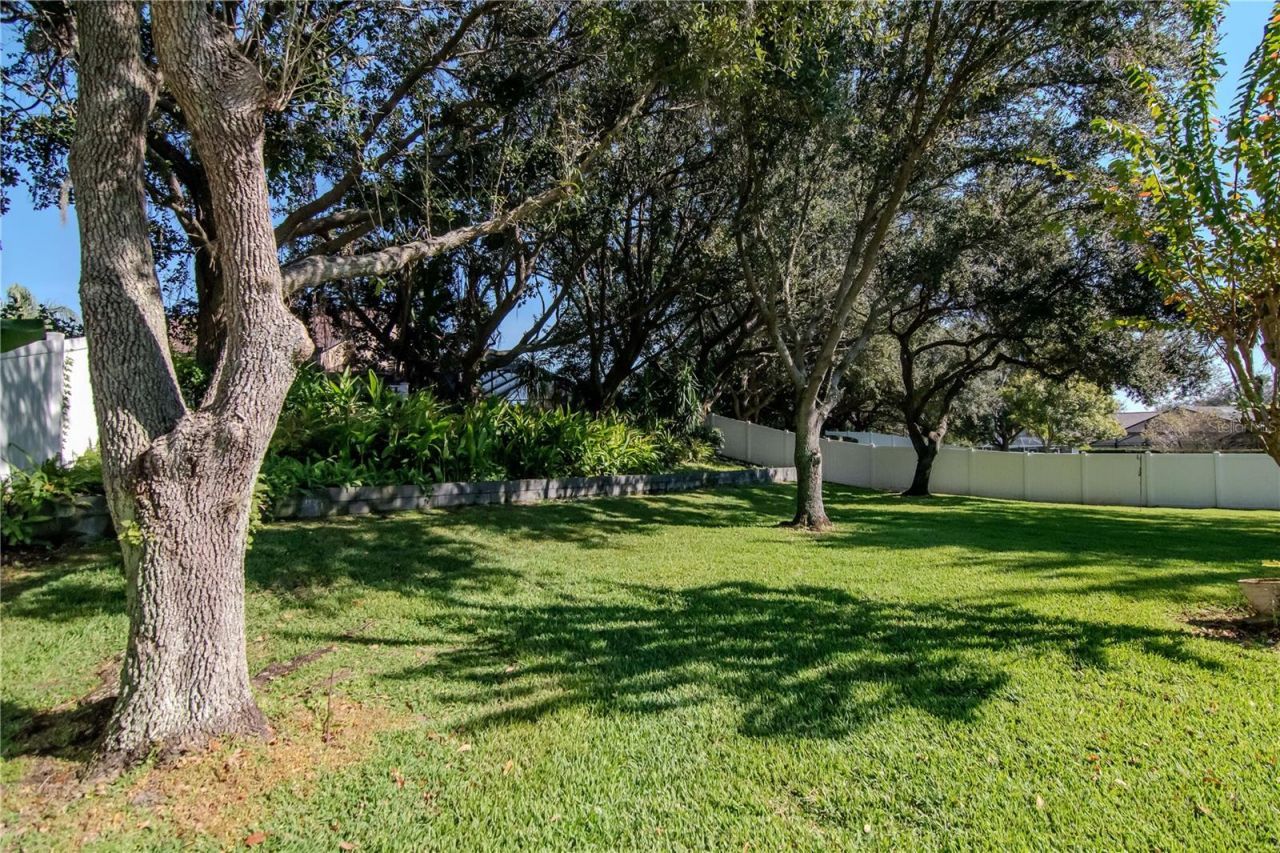 5132 Whispering Leaf Trail, Valrico, FL 33596 Photo