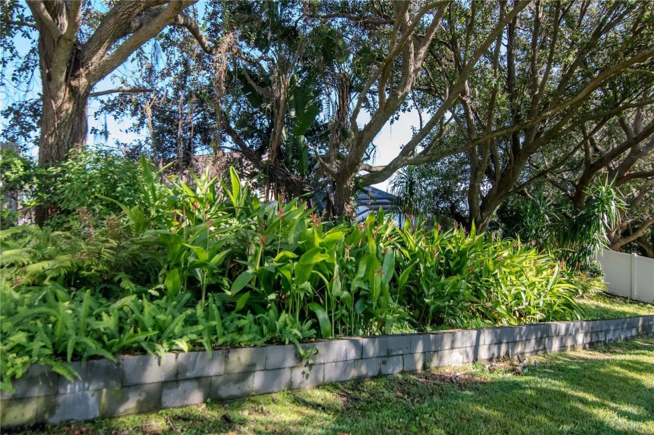 5132 Whispering Leaf Trail, Valrico, FL 33596 Photo