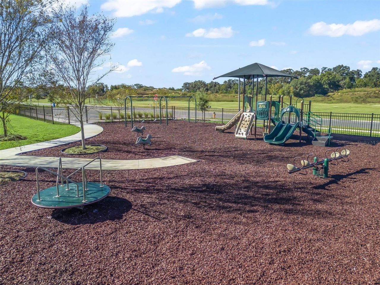 Ne 125th Loop, Phase 4, Oxford, FL 34484 Photo