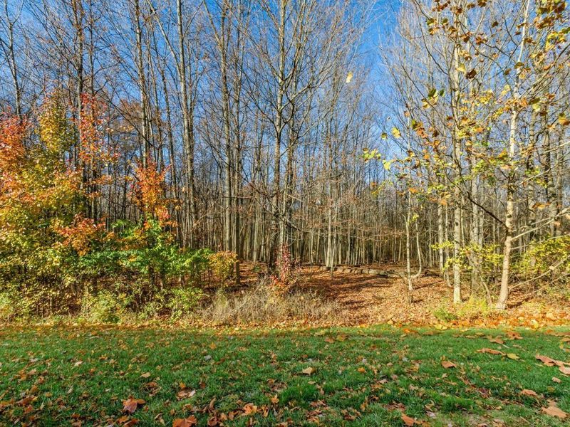 355 Dysar Run Drive, Unit 26, Blacklick, OH 43004 Photo 28