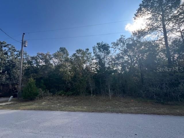 3328 Horseshoe Ln, Spring Hill, FL 34606 Main Photo