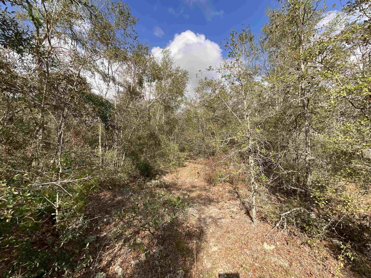 *vacant* SE River Road, Lee, FL 32059 Photo