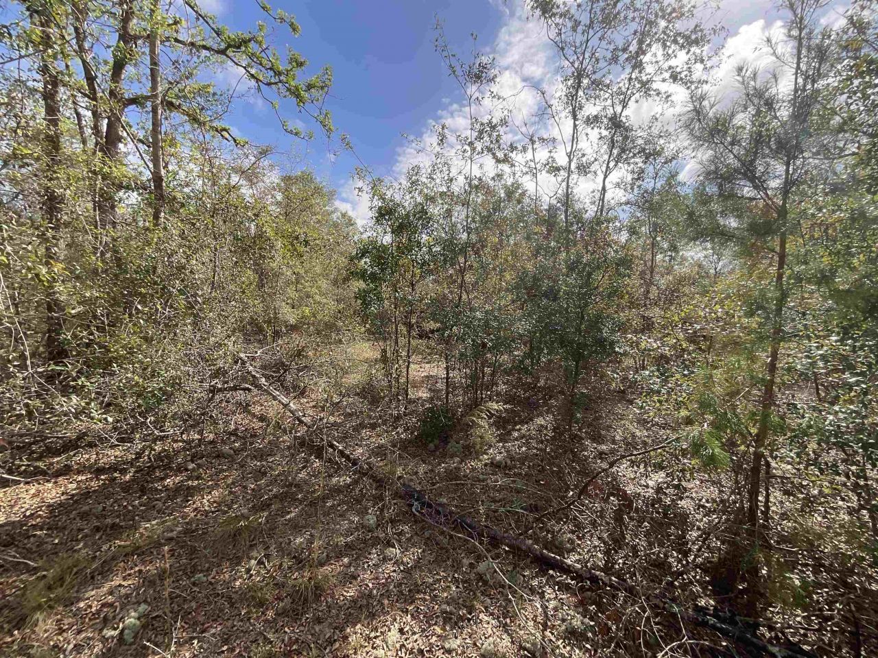 *vacant* SE River Road, Lee, FL 32059 Photo