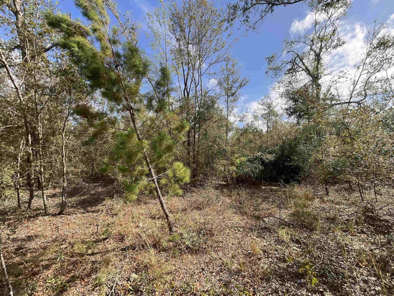 *vacant* SE River Road, Lee, FL 32059 Photo