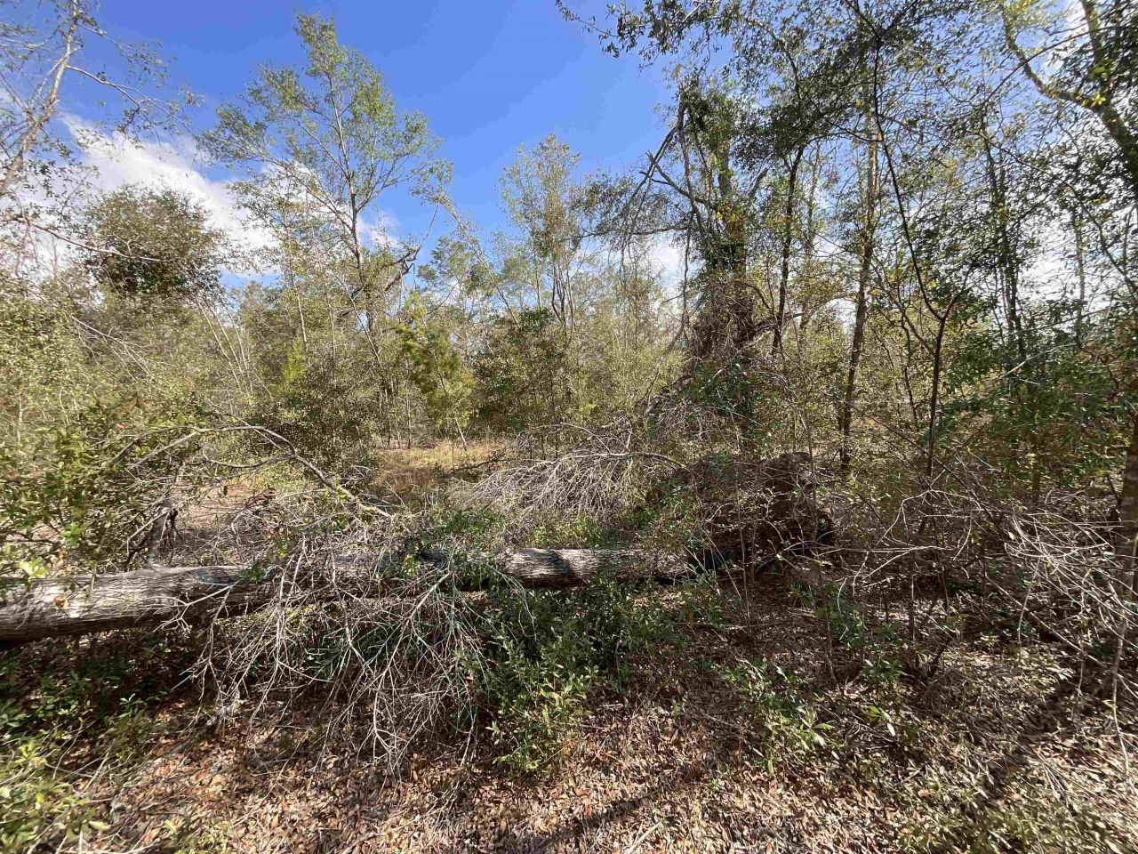 *vacant* SE River Road, Lee, FL 32059 Photo