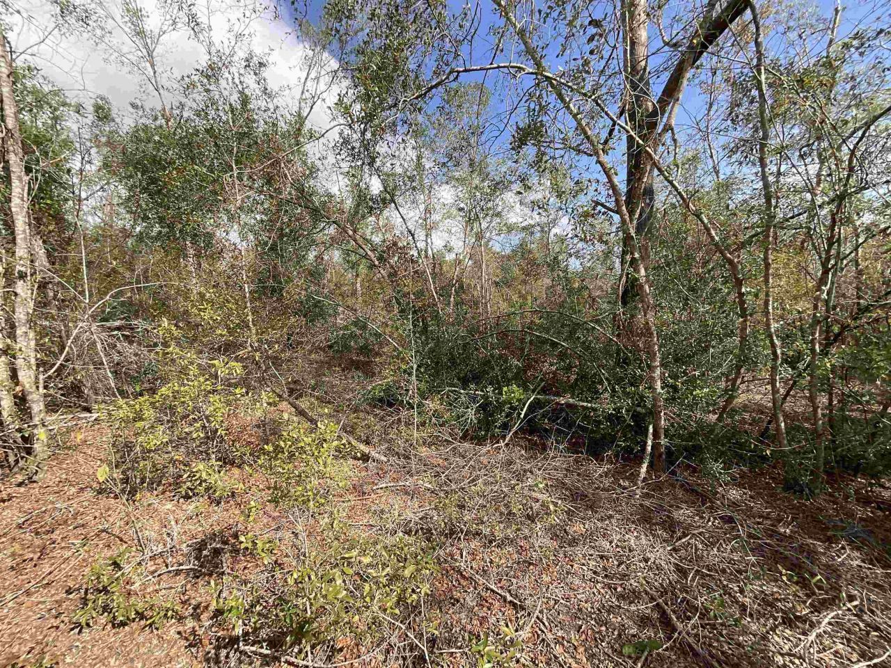*vacant* SE River Road, Lee, FL 32059 Photo