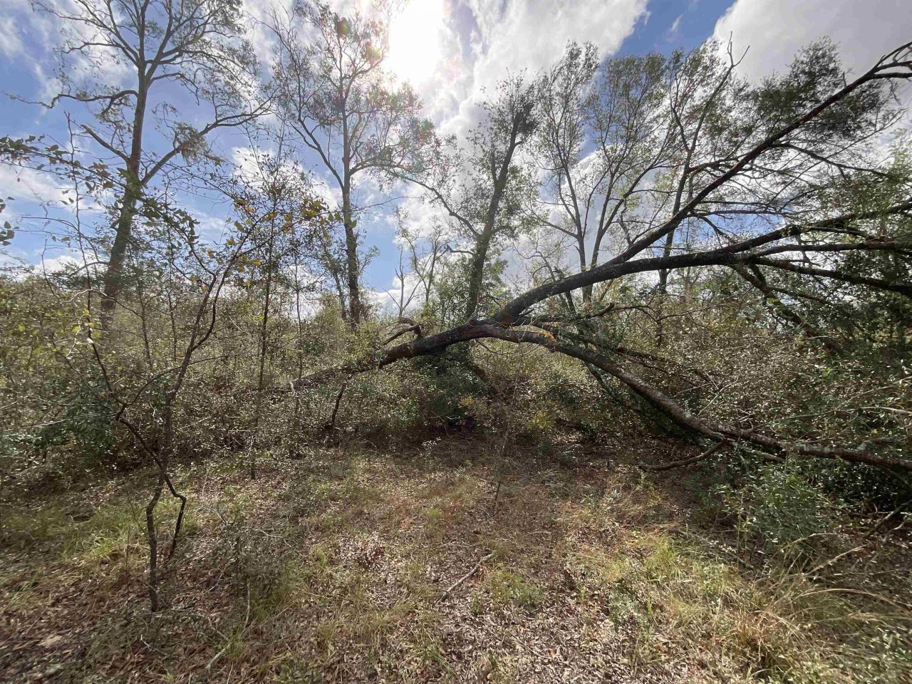 *vacant* SE River Road, Lee, FL 32059 Photo