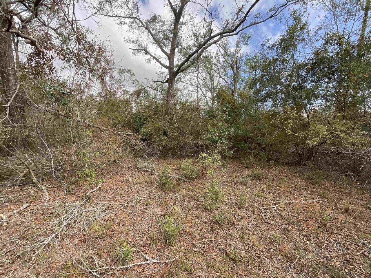 *vacant* SE River Road, Lee, FL 32059 Photo