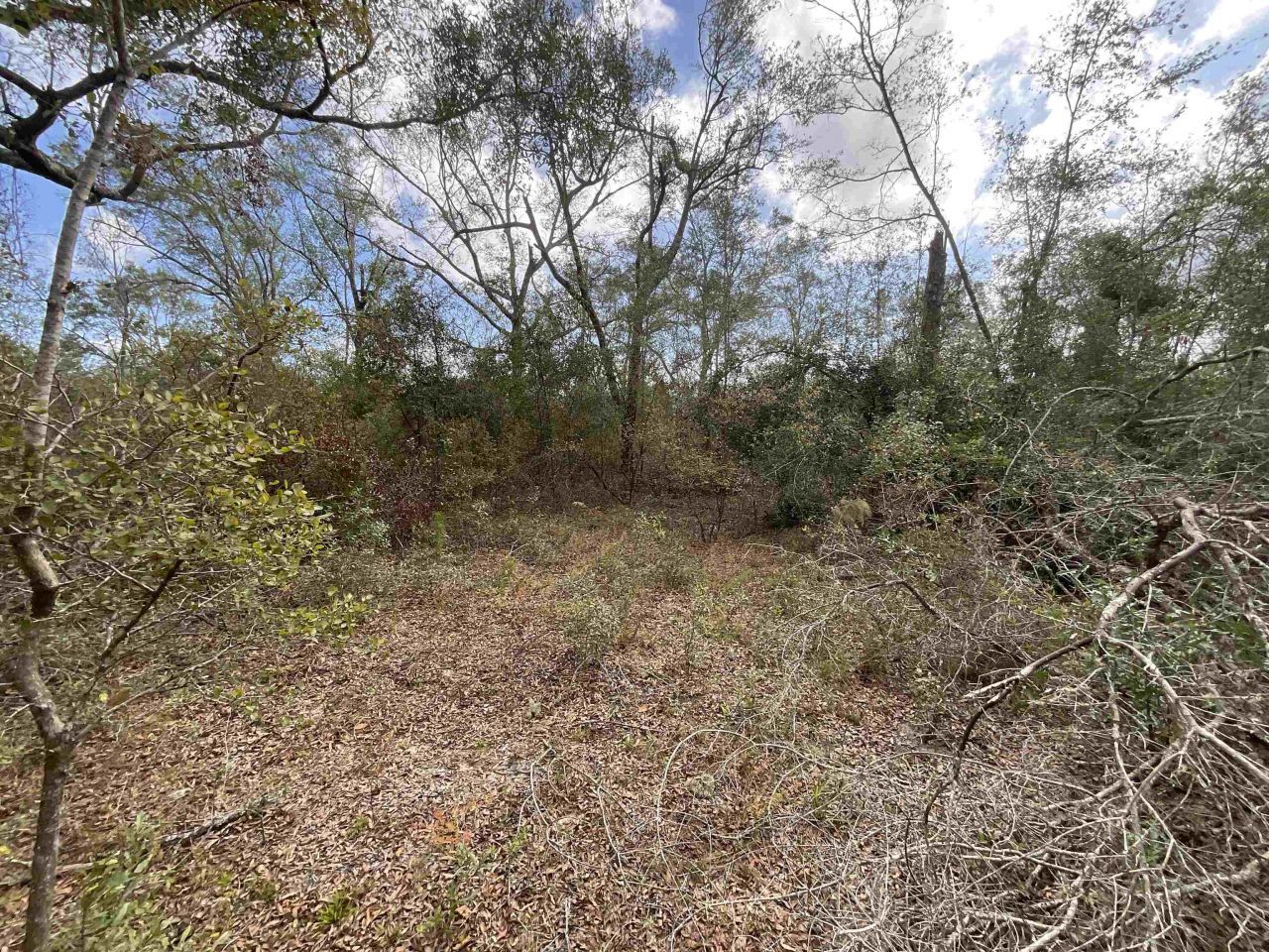 *vacant* SE River Road, Lee, FL 32059 Photo