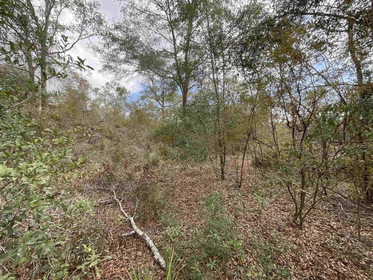 *vacant* SE River Road, Lee, FL 32059 Photo