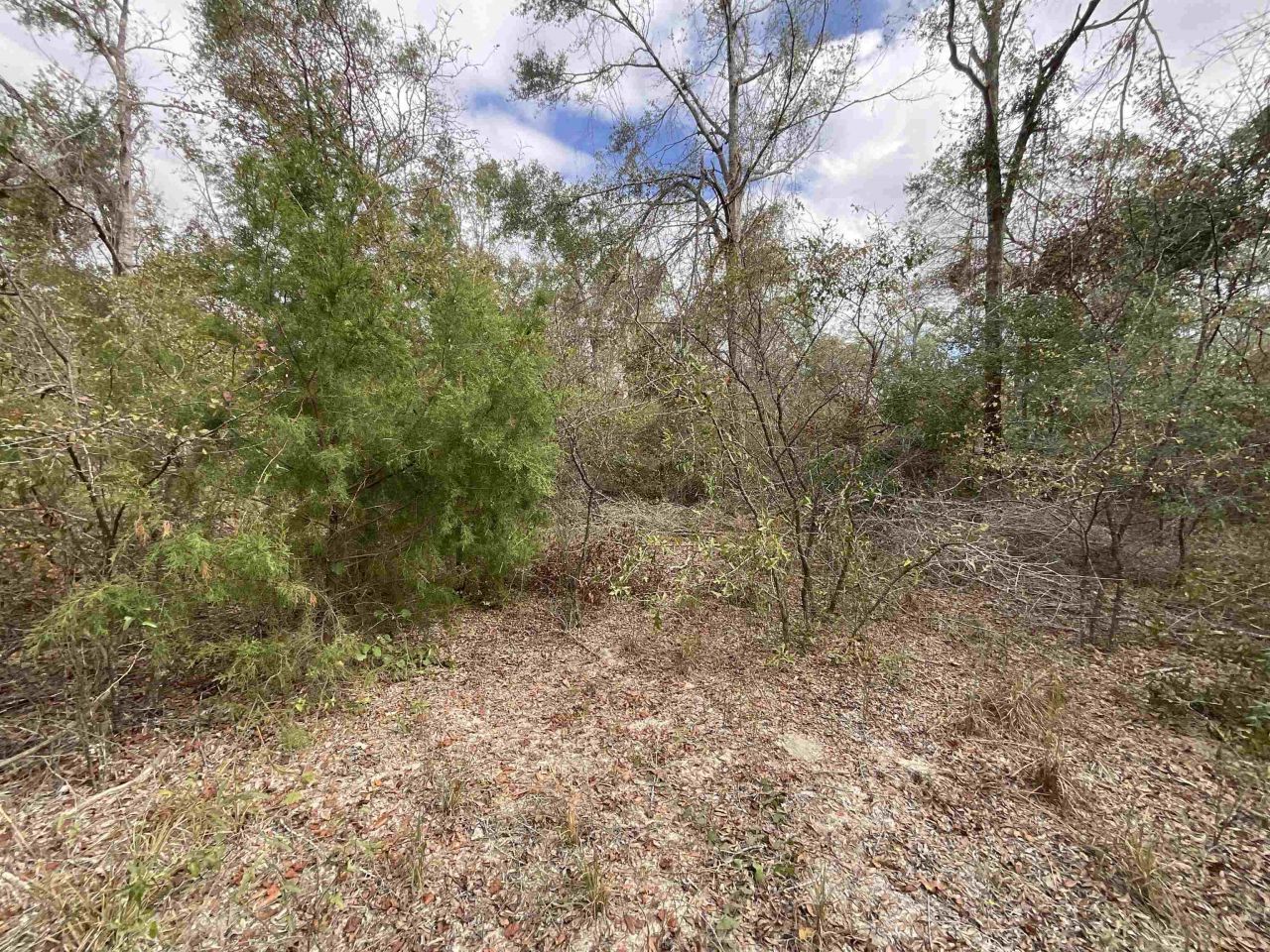 *vacant* SE River Road, Lee, FL 32059 Photo