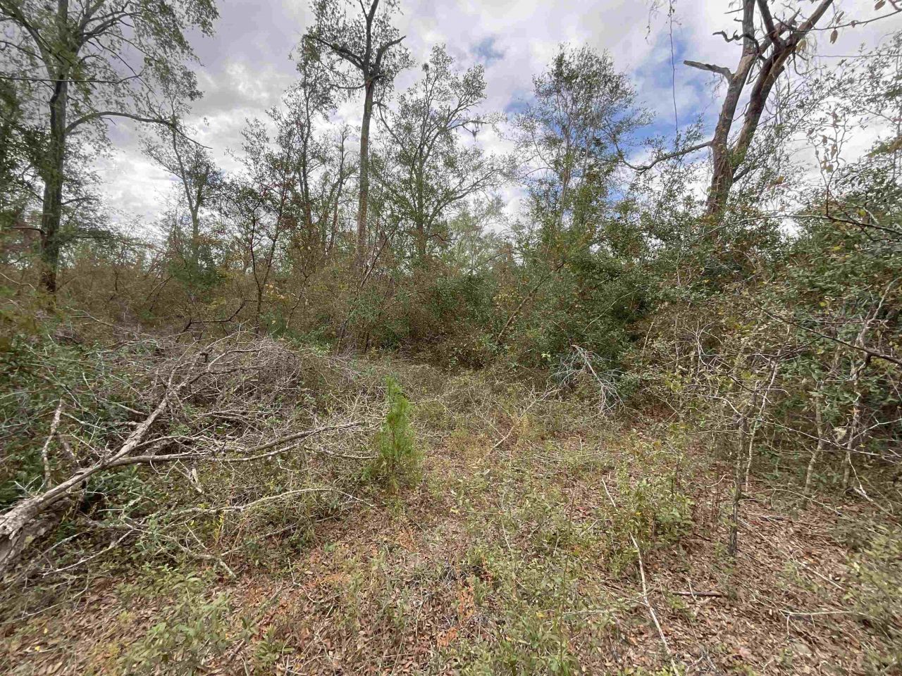 *vacant* SE River Road, Lee, FL 32059 Photo