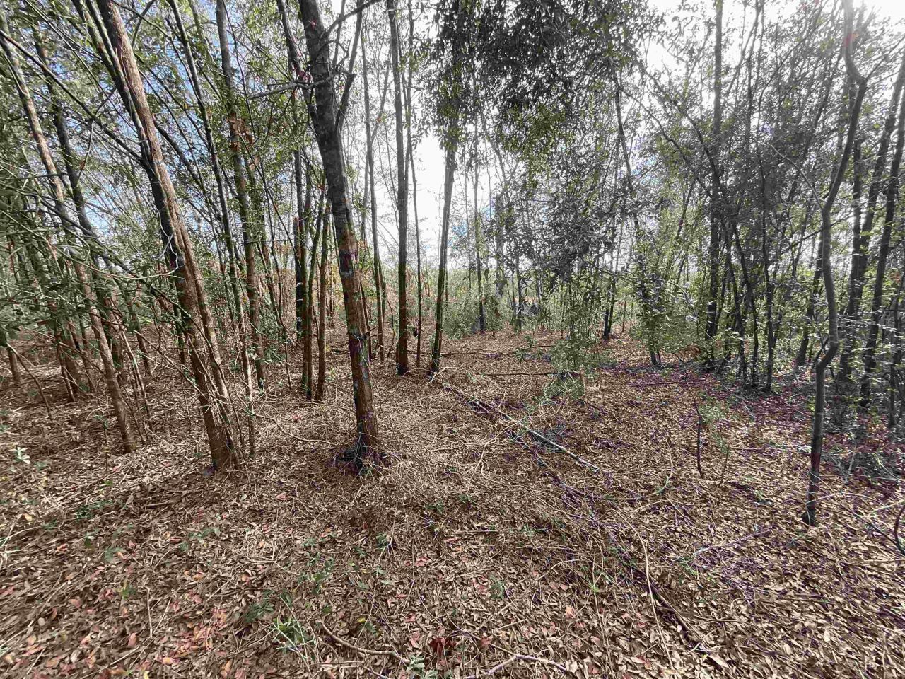 *vacant* SE River Road, Lee, FL 32059 Photo