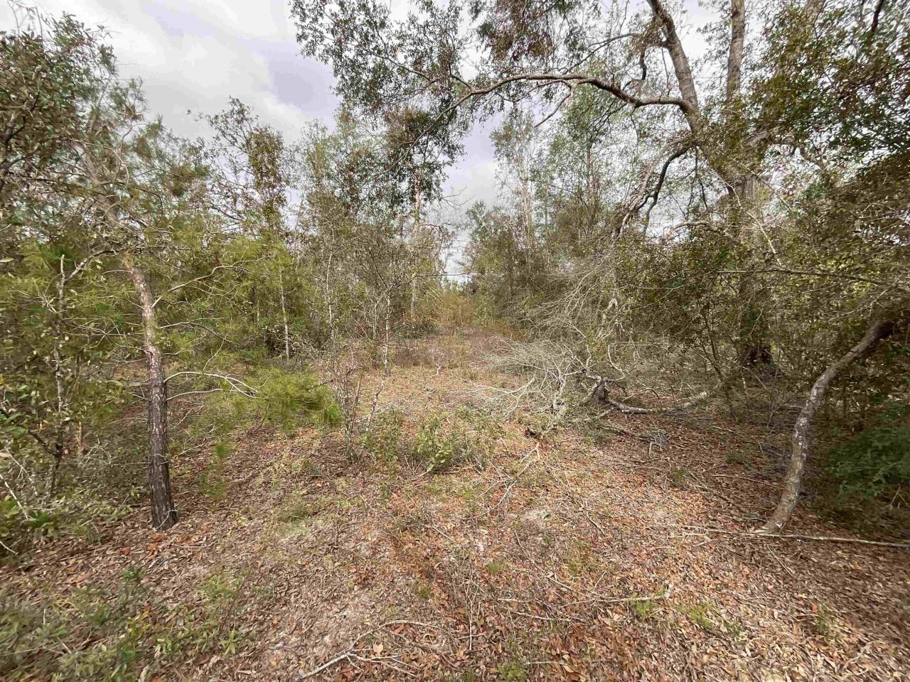 *vacant* SE River Road, Lee, FL 32059 Photo