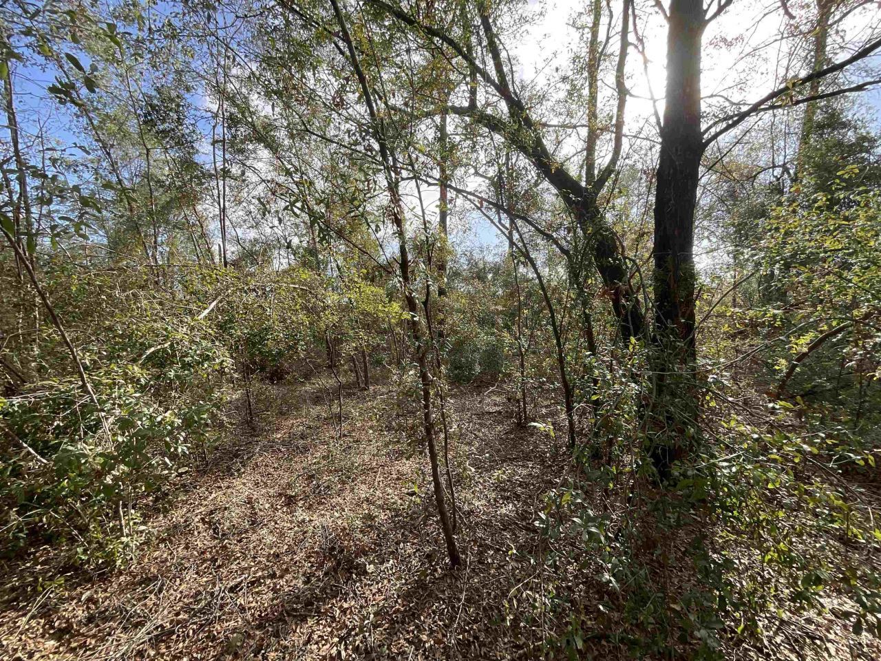 *vacant* SE River Road, Lee, FL 32059 Photo