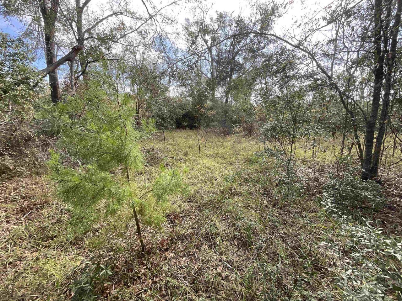 *vacant* SE River Road, Lee, FL 32059 Photo