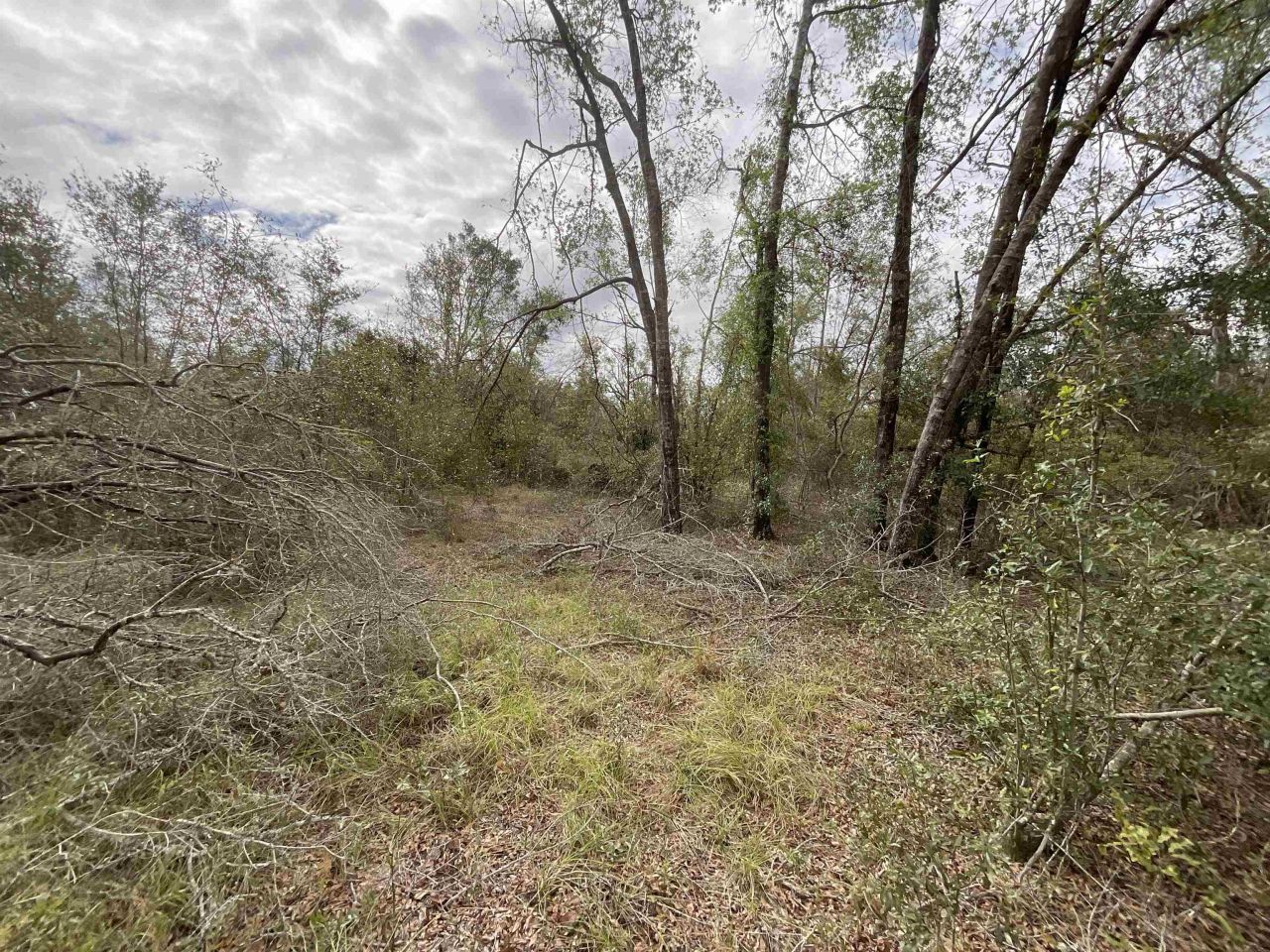 *vacant* SE River Road, Lee, FL 32059 Photo