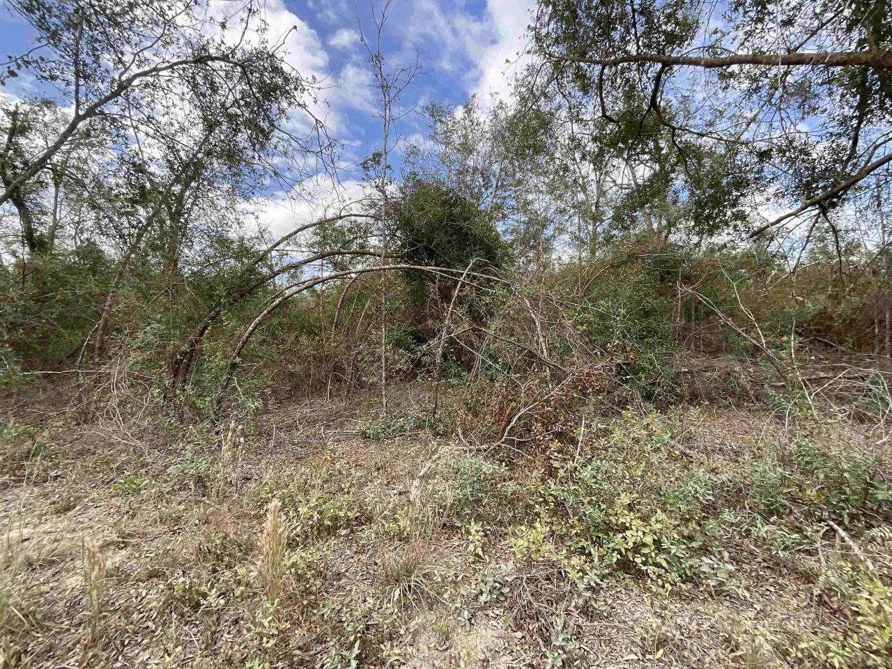 *vacant* SE River Road, Lee, FL 32059 Photo