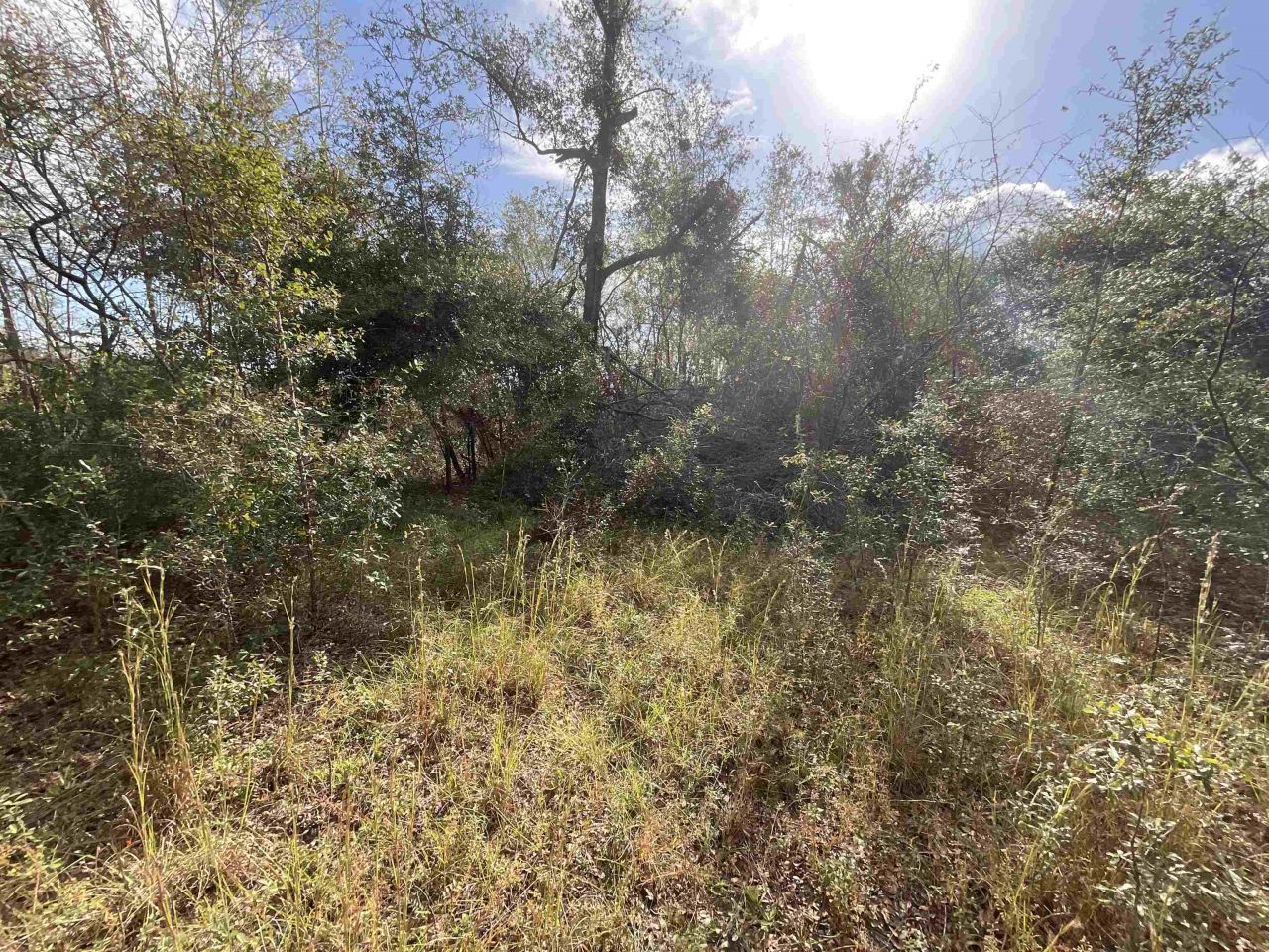 *vacant* SE River Road, Lee, FL 32059 Photo
