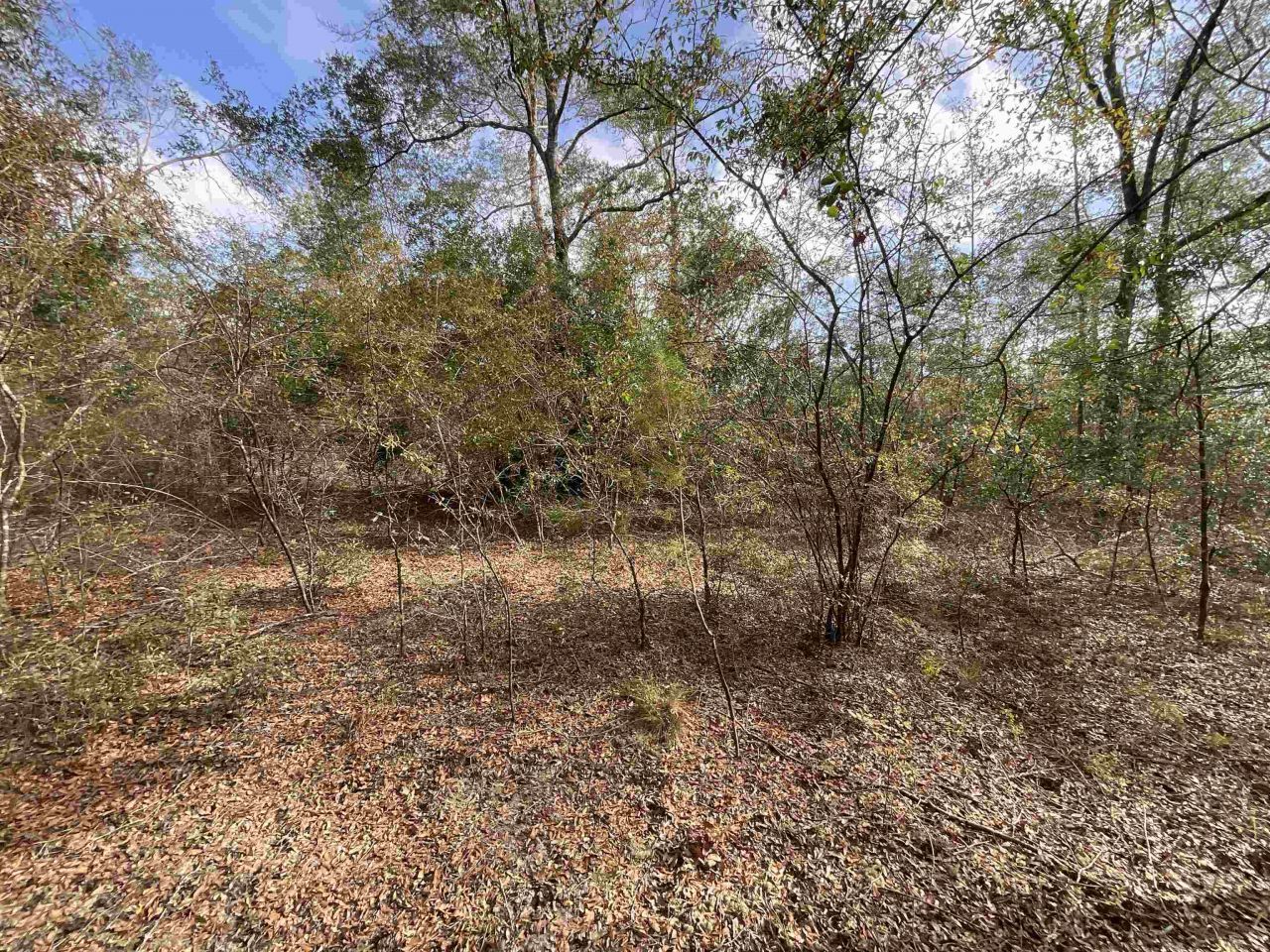 *vacant* SE River Road, Lee, FL 32059 Photo