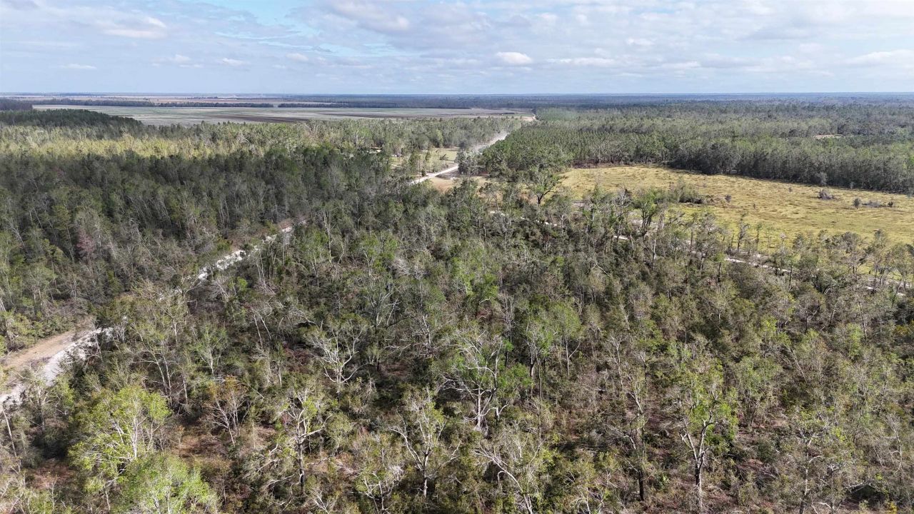 *vacant* SE River Road, Lee, FL 32059 Photo