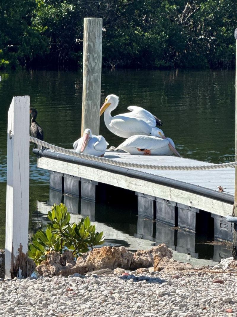 10315 Cortez Road W, Unit 30-2, Bradenton, FL 34210 Photo