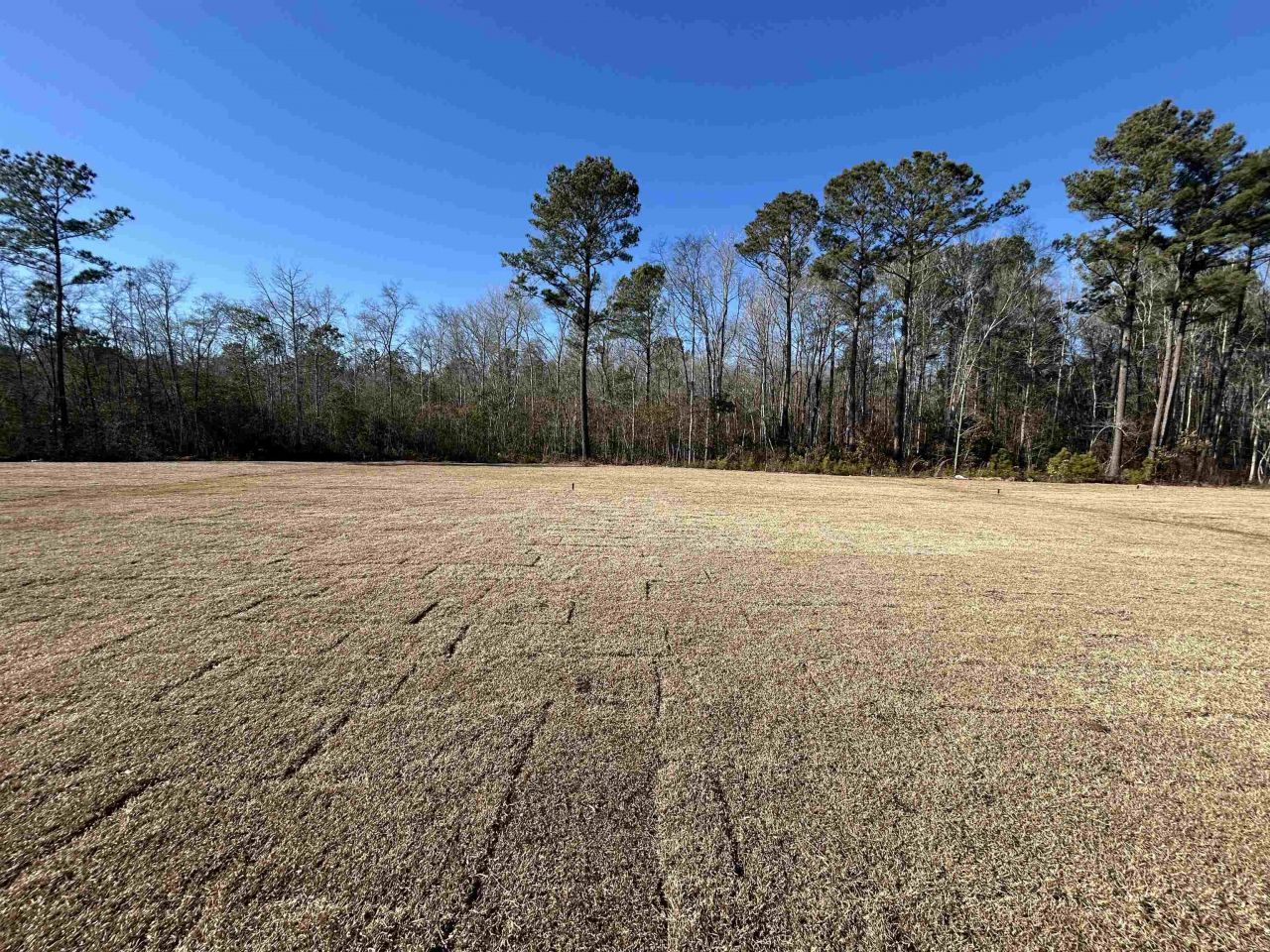 450 Castillo Dr. Photo 19