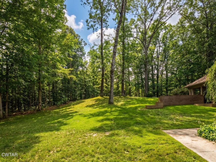 Property Image 59