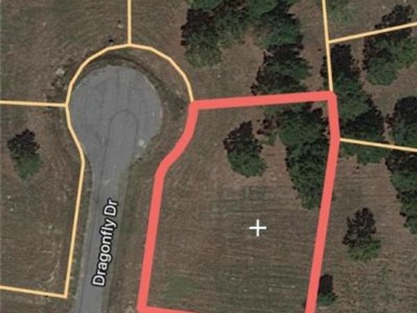 Dragonfly Drive, Lumberton, NC 28360