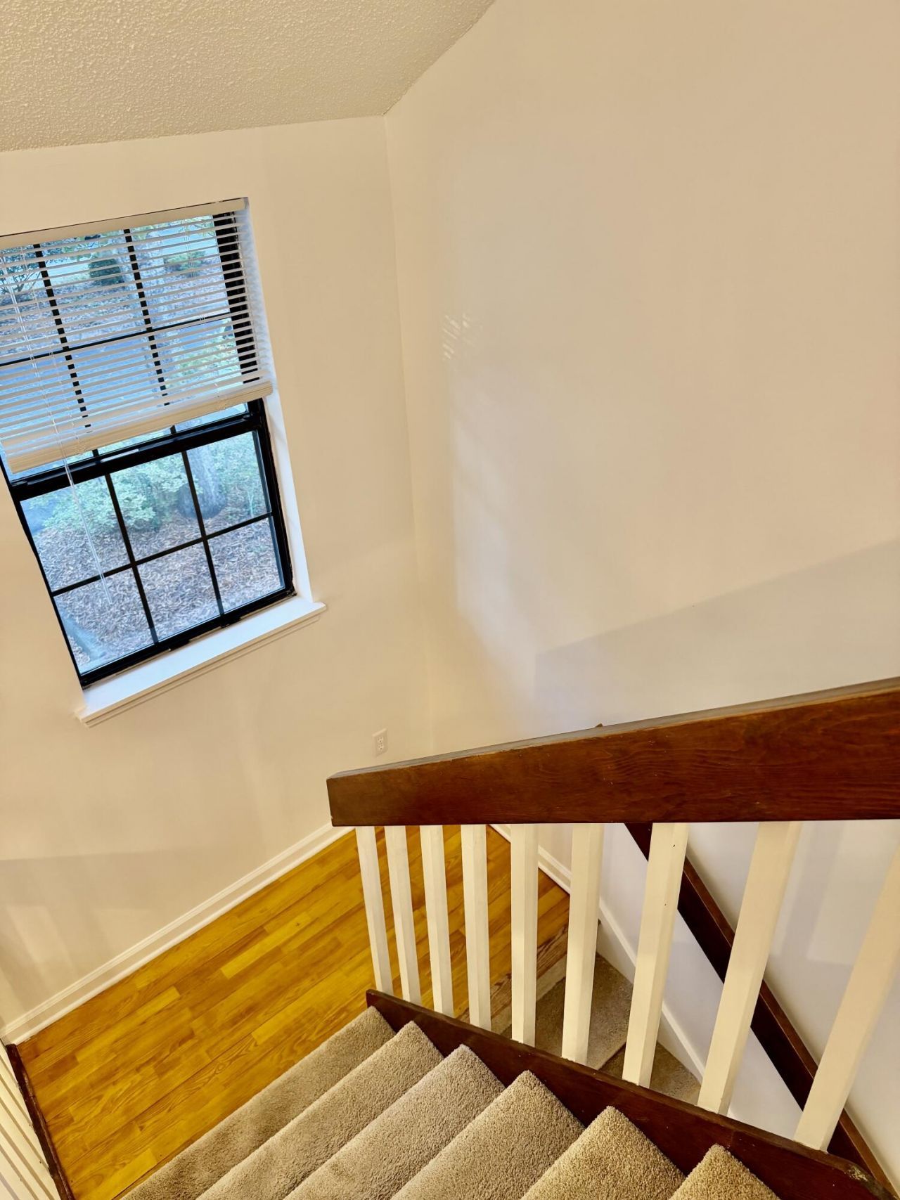 76 Indigo Lane Photo 8