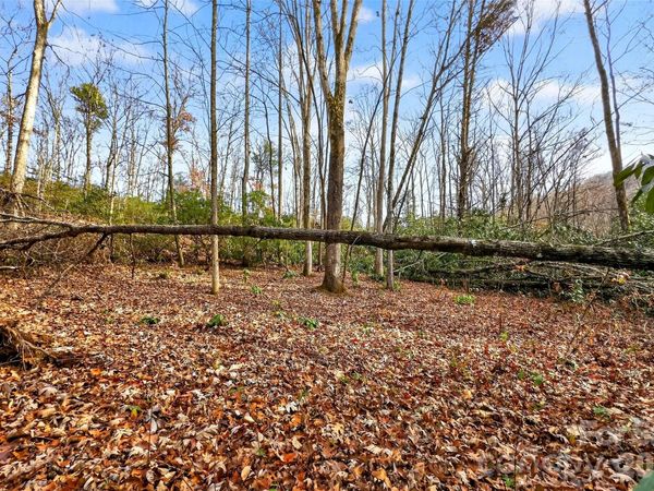 172 Crimson Drive, Old Fort, NC 28762